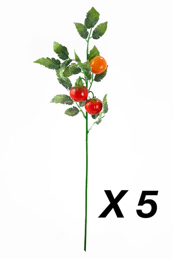 Set de 5 varas de tomate cherry